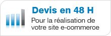 Demande de devis pour la r&eacute;alisation de votre site e-commerce Micrologiciel >>